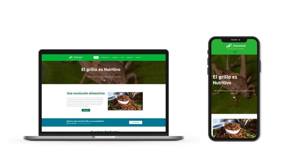 Sitio web en escritorio y movil con diseño responsivo