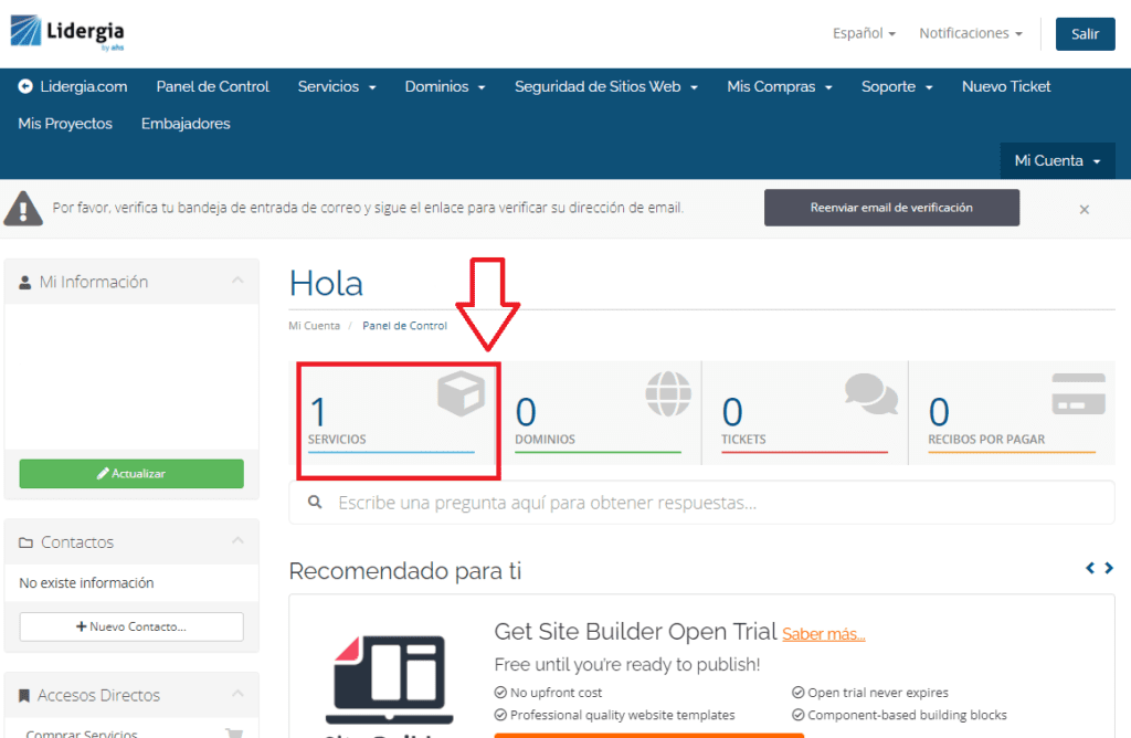 Seleccionar Servicios Portal Lidergia